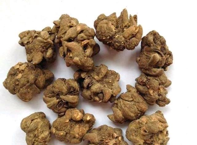 猫爪草各大市场价格——12月份上旬